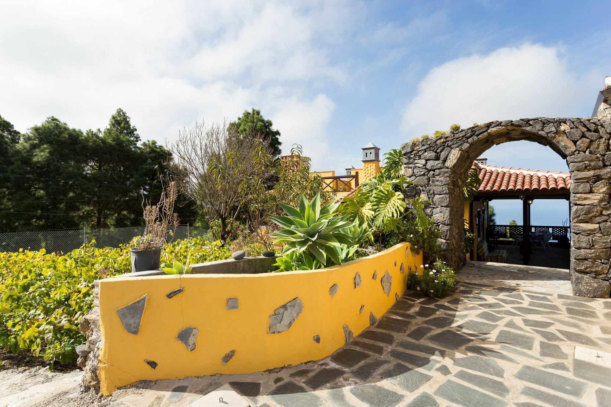 Finca Casa Yaya Ікод-де-лос-Вінос Екстер'єр фото